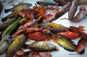 mercato pesce 2