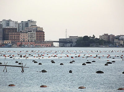 taranto bonifiche