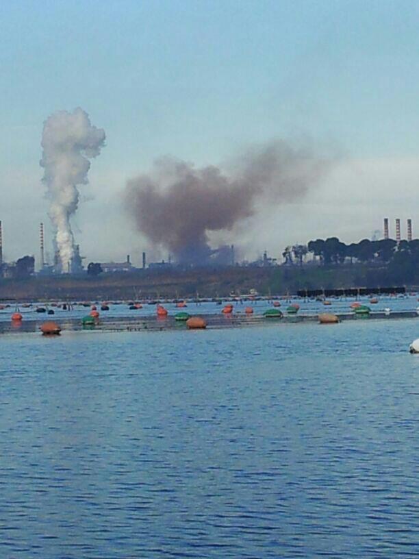 ilva sperma taranto