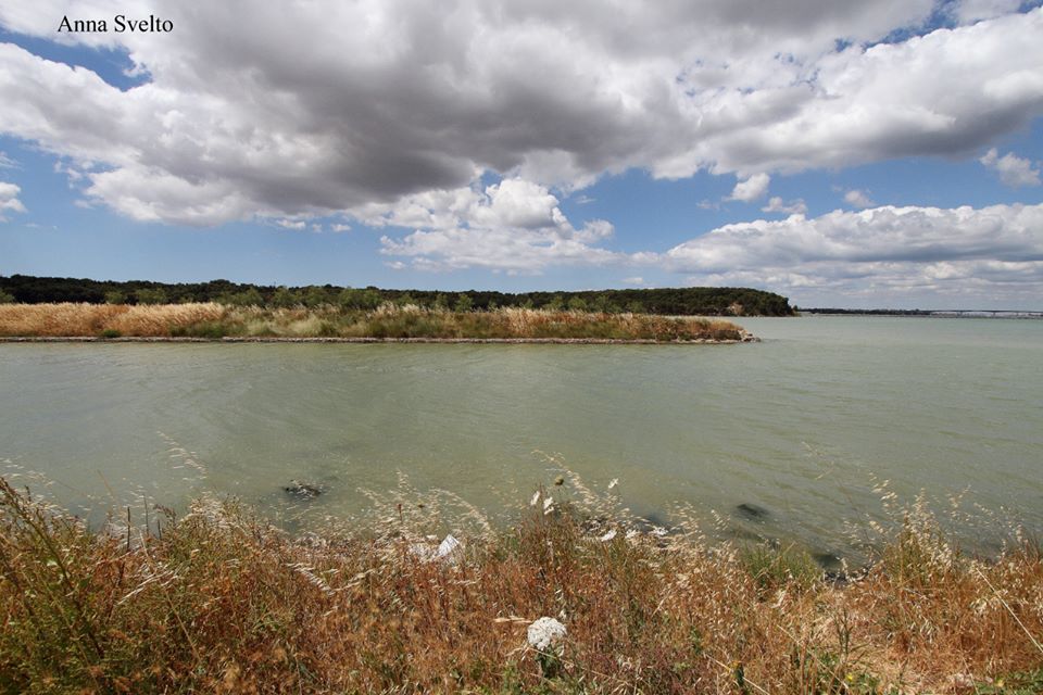 Palude La Vela Taranto