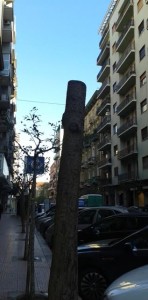 albero - Copia