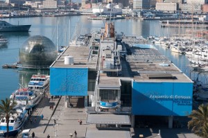 Genova-acquario-4053