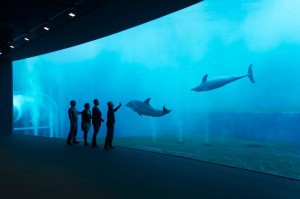 ACQUARIO GENOVA