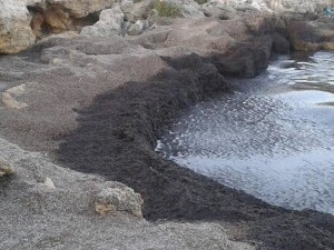 spiaggia