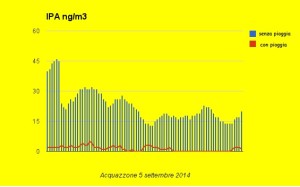 grafico peace