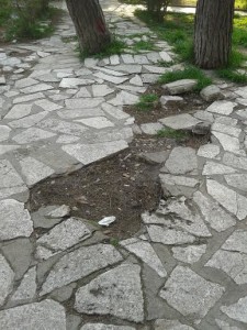 piazza lucania 2