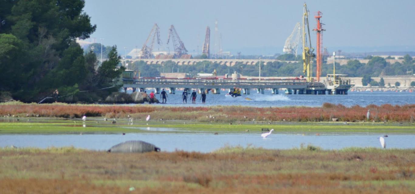 oasi la vela taranto