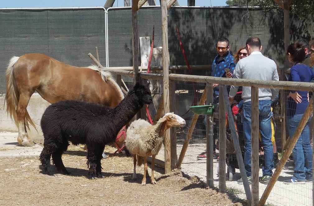 Pet Garden Taranto