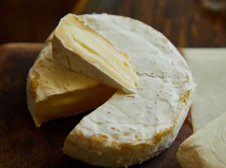 Alberti di Natale per antipasto - Inchiostroverde.it (Fonte Foto Canva)
