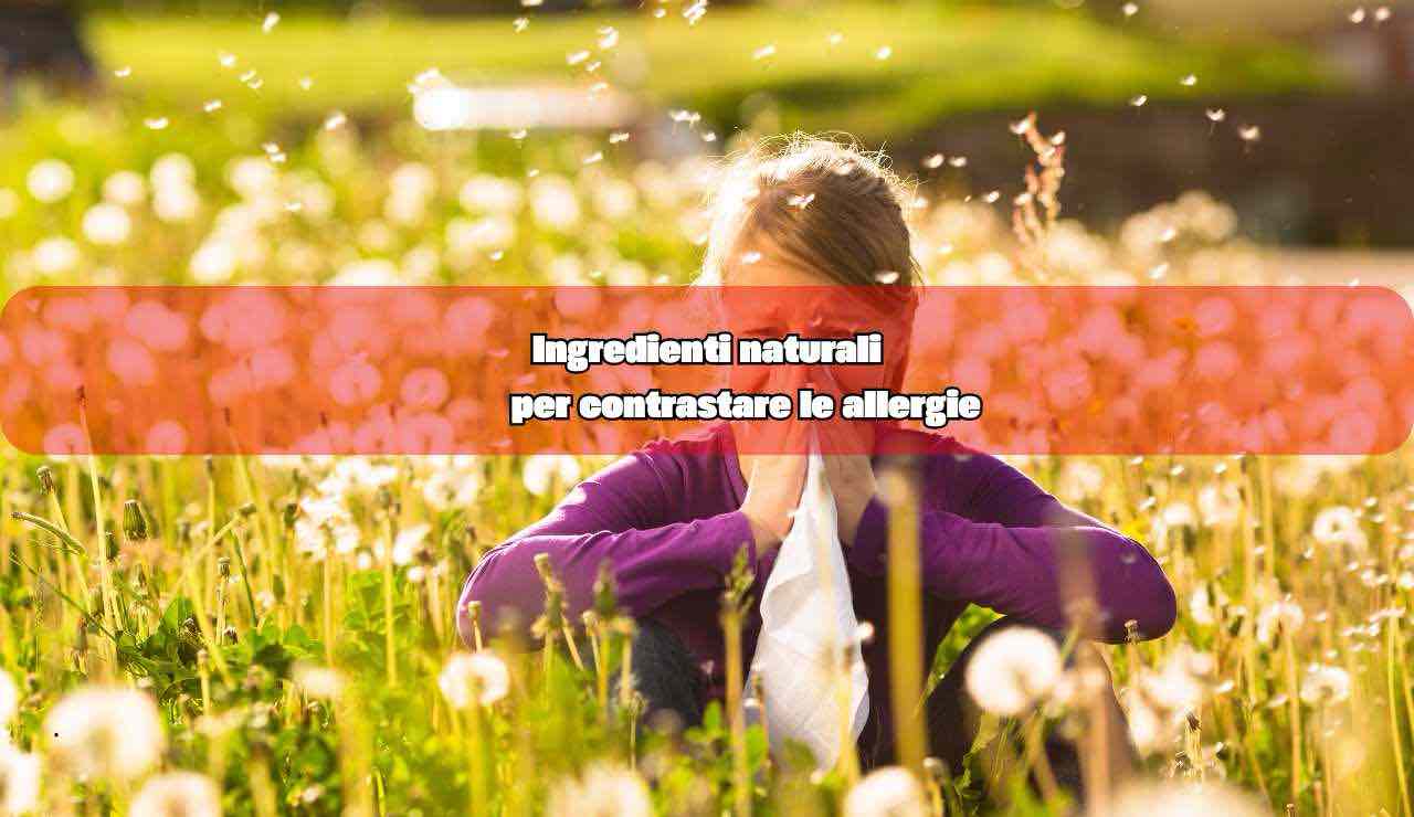 Ingredienti per contrastare le allergie - fonte_canva - inchiostroverde.it