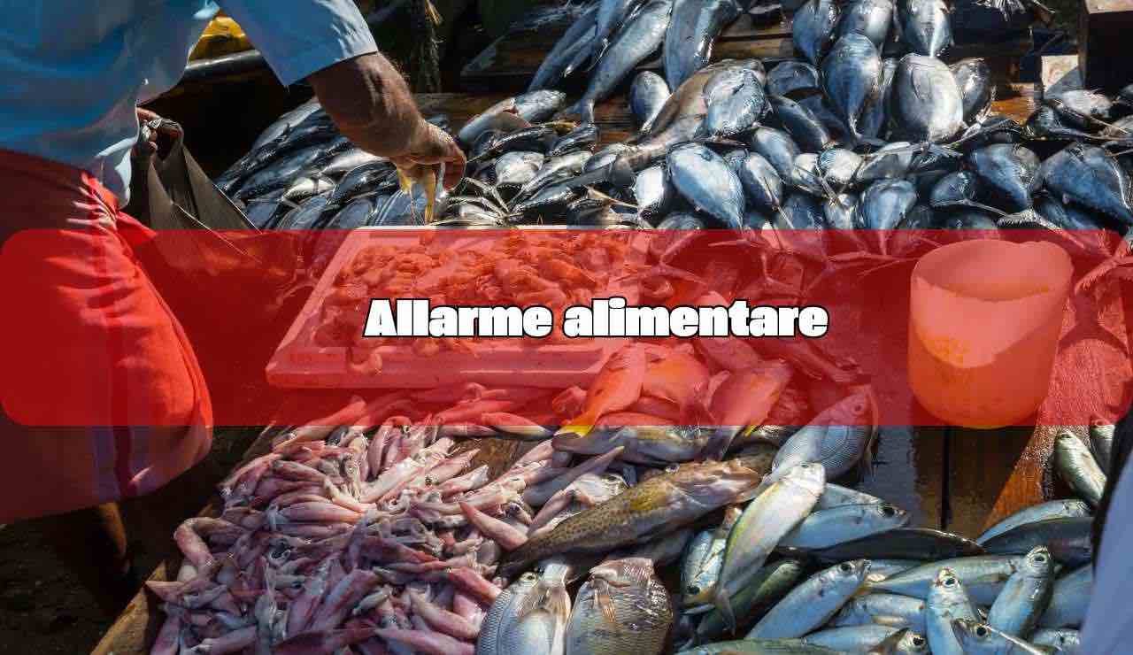 Allarme alimentare - fonte_canva - inchiostroverde.it