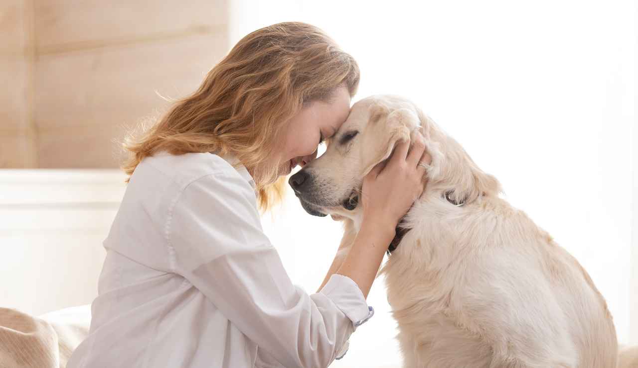 Animali domestici multa senza documenti - Inchiostroverde.it (Fonte foto Canva)
