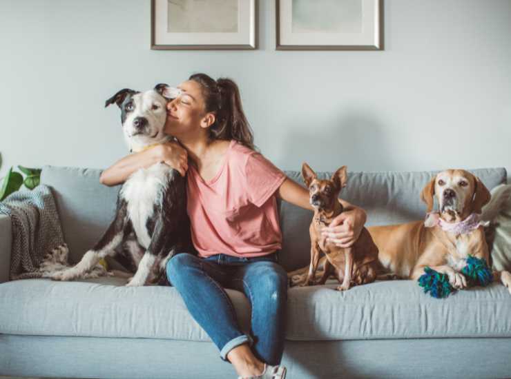 Animali domestici multa senza documenti - Inchiostroverde.it (Fonte foto Canva)