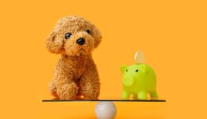 Cane assicurazioni troppo care - Inchiostroverde.it (Fonte foto Canva)