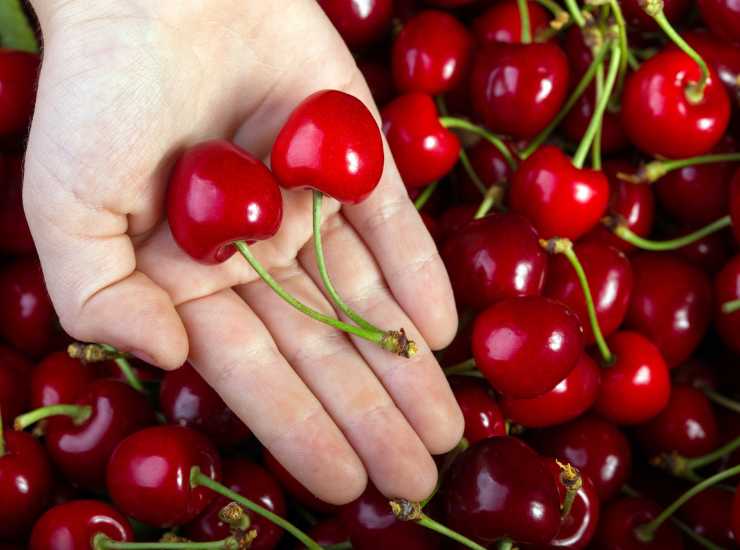 Ciliegie da 7.700 euro - Inchiostroverde.it (Fonte foto Canva)