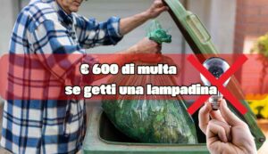 € 600 di multa - fonte_Canva - inchiostroverde.it