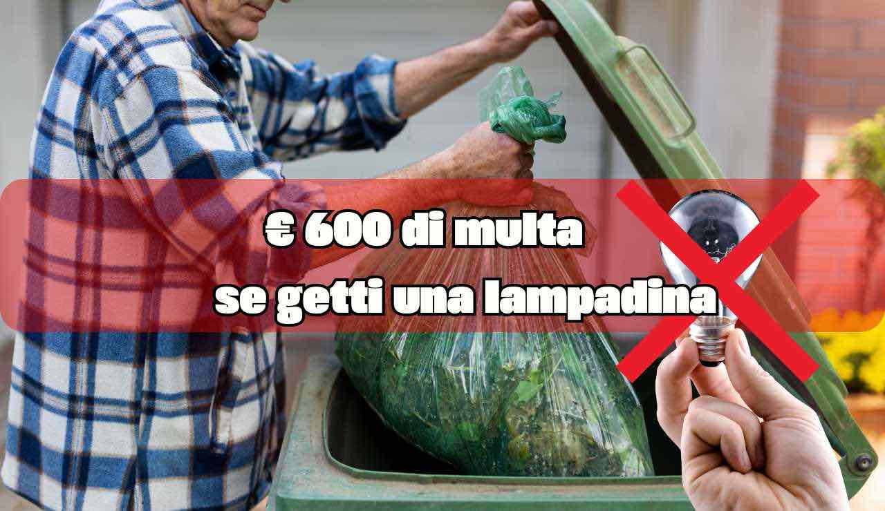€ 600 di multa - fonte_Canva - inchiostroverde.it