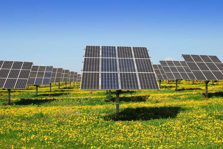 Fotovoltaico - fonte_canva - inchiostroverde.it