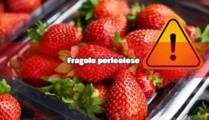 Fragole pericolose - fonte_Canva - inchiostroverde.it