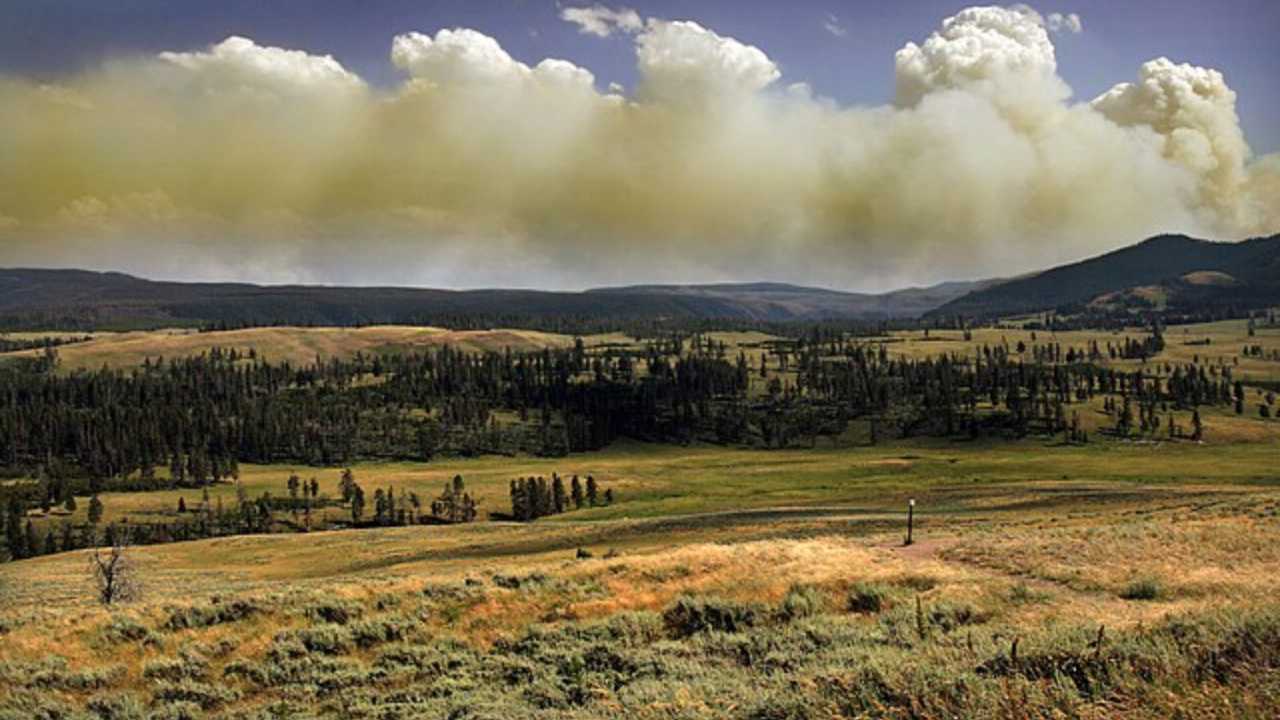 Yellowstone