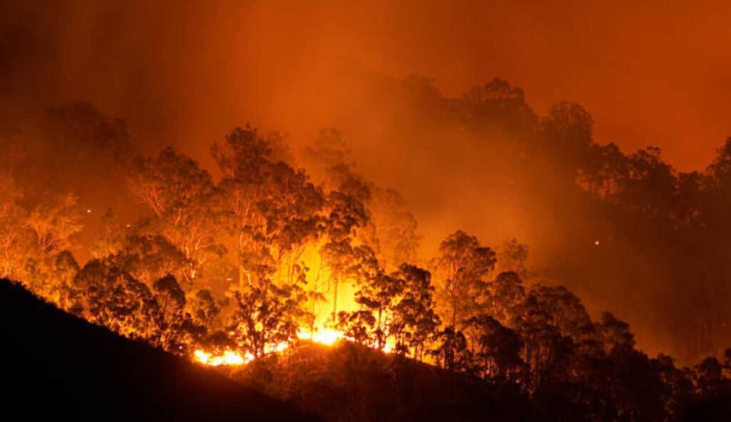 Israele in fiamme