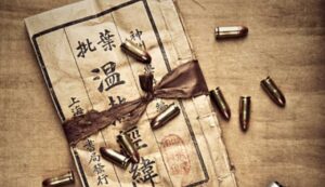 Mafia cinese in Italia