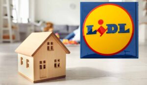 Lidl con meno di 100 euro rinfresca casa Inchiostroverde.it