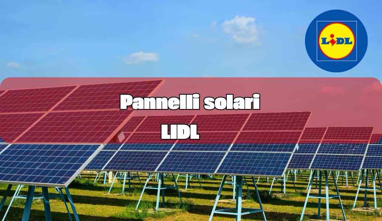 Pannelli solari LIDL - fonte_Canva - inchiostroverde.it