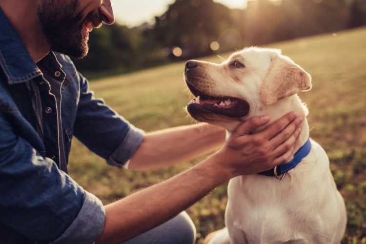 Prendersi cura di un cane - fonte_Canva - inchiostroverde.it