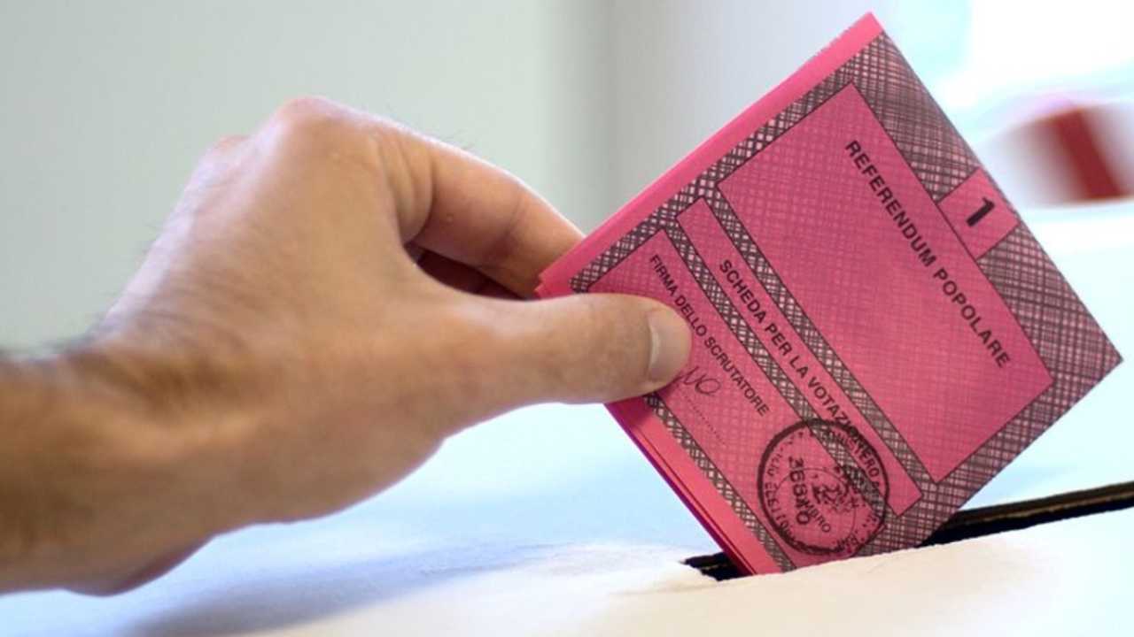 Elezioni