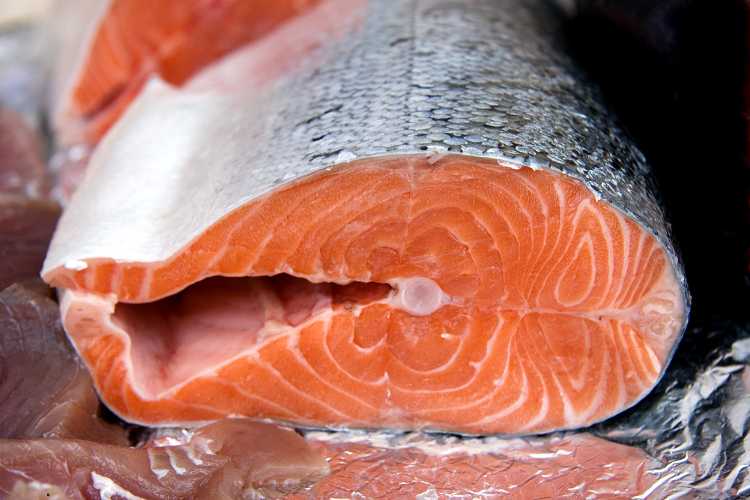 Salmone - fonte_canva - inchiostroverde.it