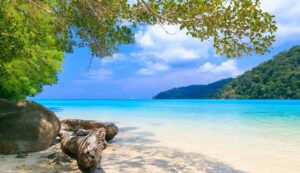 Spiaggia - fonte_Canva - inchiostroverde.it