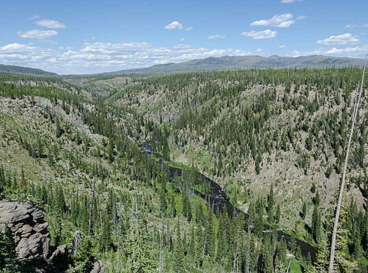Il parco nazionale di Yellowstone
