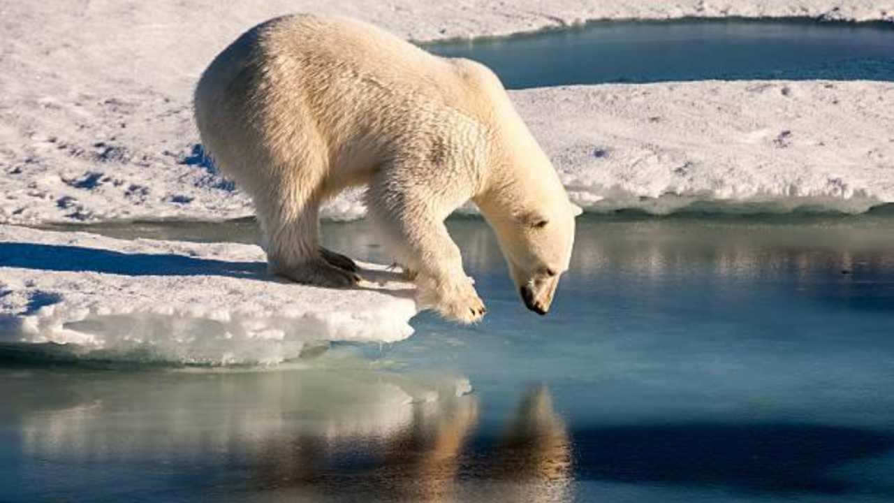 Cambiamento climatico