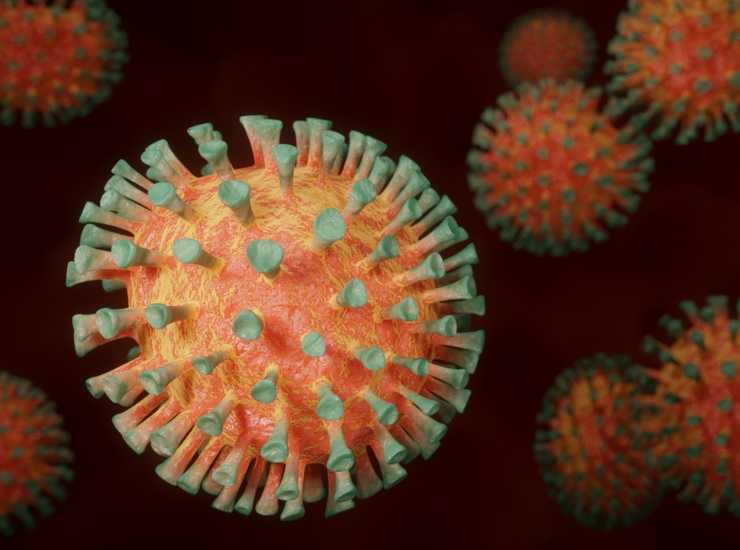 Virus nei pipistrelli