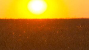 Caldo estremo