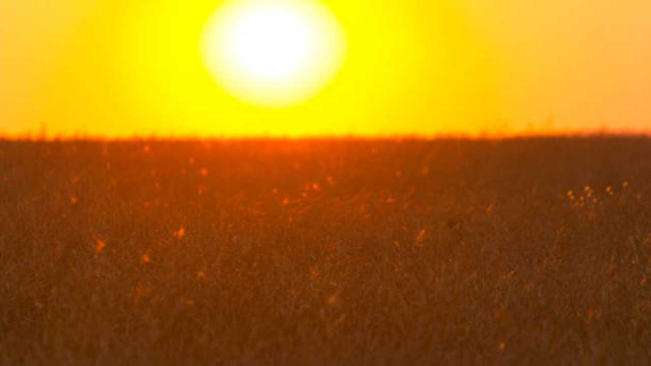 Caldo estremo