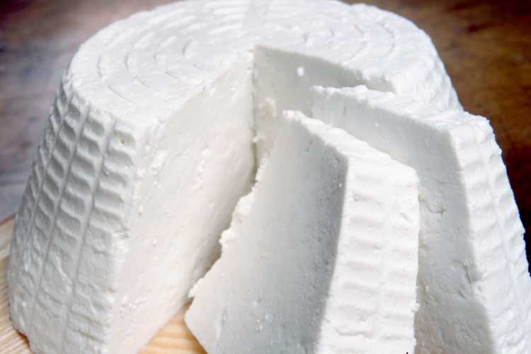Ricotta - fonte_Canva - inchiostroverde.it