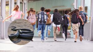 Serpenti a scuola - fonte_Canva - inchiostroverde.it