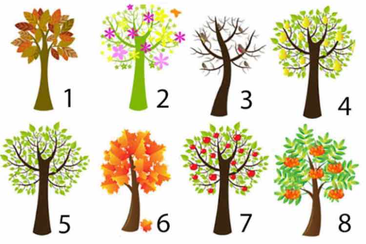 Test alberi - fonte_fashionblog.it - inchiostroverde.it