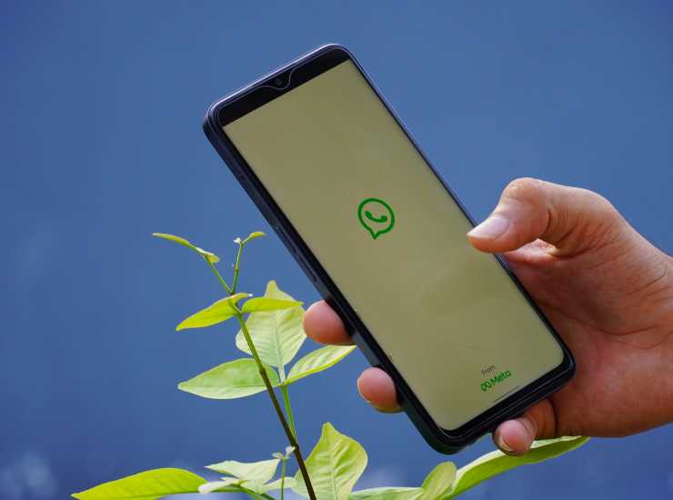 Whatsapp a pagamento - Inchiostroverde.it (Fonte foto Canva)