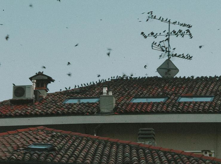 Antenna TV (pexels.com) - inchiostroverde.it