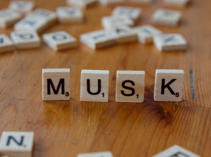 Elon Musk (pexels.com) - inchiostroverde.it