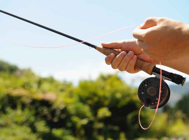 Pesca shock dopo che ha dimenticato la canna - Inchiostroverde.it (Fonte foto Canva)