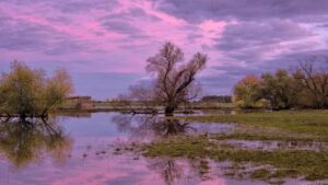 Alluvione in Texas