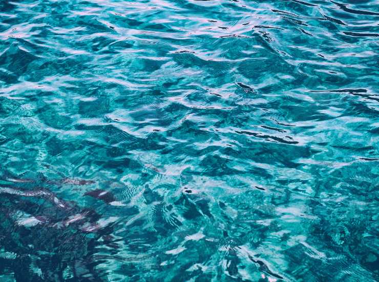 Estate di divieti bagno a mare - Inchiostroverde.it (Fonte foto Canva)