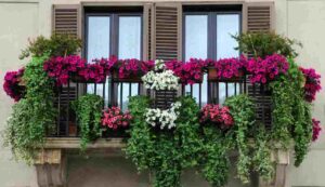 Piante in balcone toglile subito - Inchiostroverde.it (Fonte foto Canva)