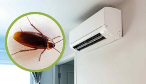 Escono scarafacci dal climatizzatore - Inchiostroverde.it (Fonte foto Canva)