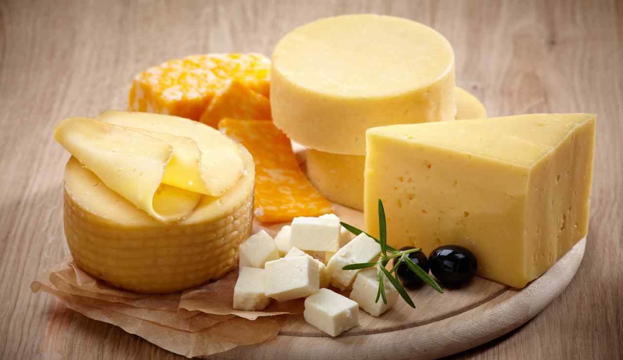 Formaggio e colesterolo il nuovo studio - Inchiostroverde.it (Fonte foto Canva)