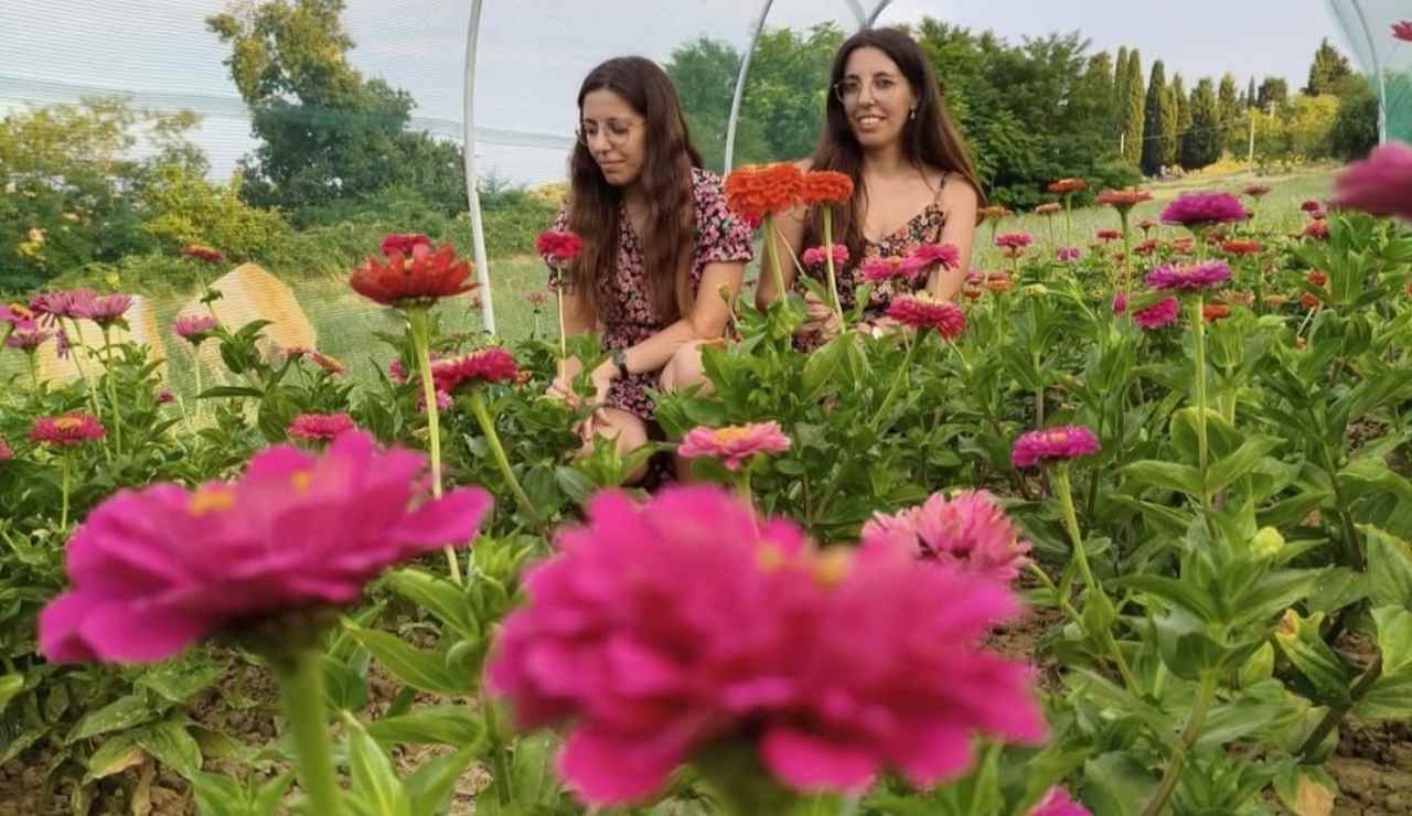 Il Giardino di Flora a Grottazzolina in provincia di Fermo